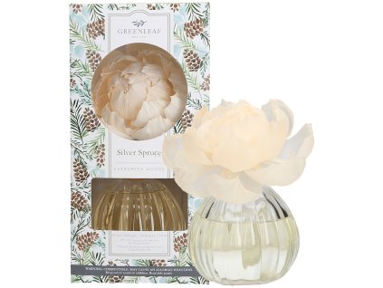 GLG966485 WS SilverSpruce