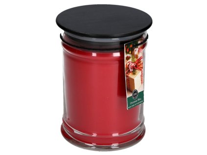BW033174 LS ChristmasBliss