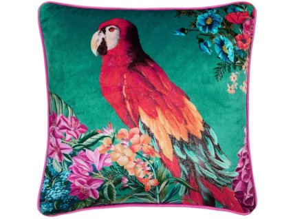 PYM CUSHN TL sn2 720x