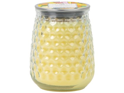 GLG915580 WS SPRING25