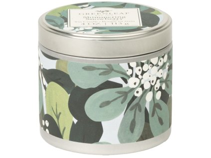 GLG926558 WS SHIMMERINGSNOWBERRY