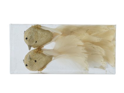 SET 2 ks ptáčků na klipu, 20 cm, šampáň, KSD