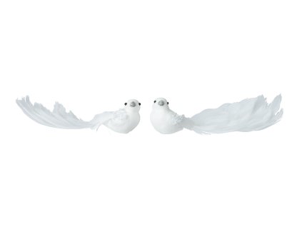Ptáček na klipu, 23 cm, bílý, 2 druhy, KSD