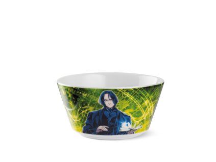 EGAN WARNER BROS HARRY POTTER Miska SEVERUS PITON 480 ml