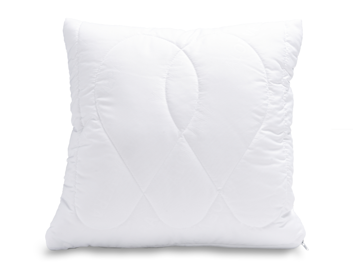 Brotex Polštářek Aloe Vera 40x40cm 250g se zipem