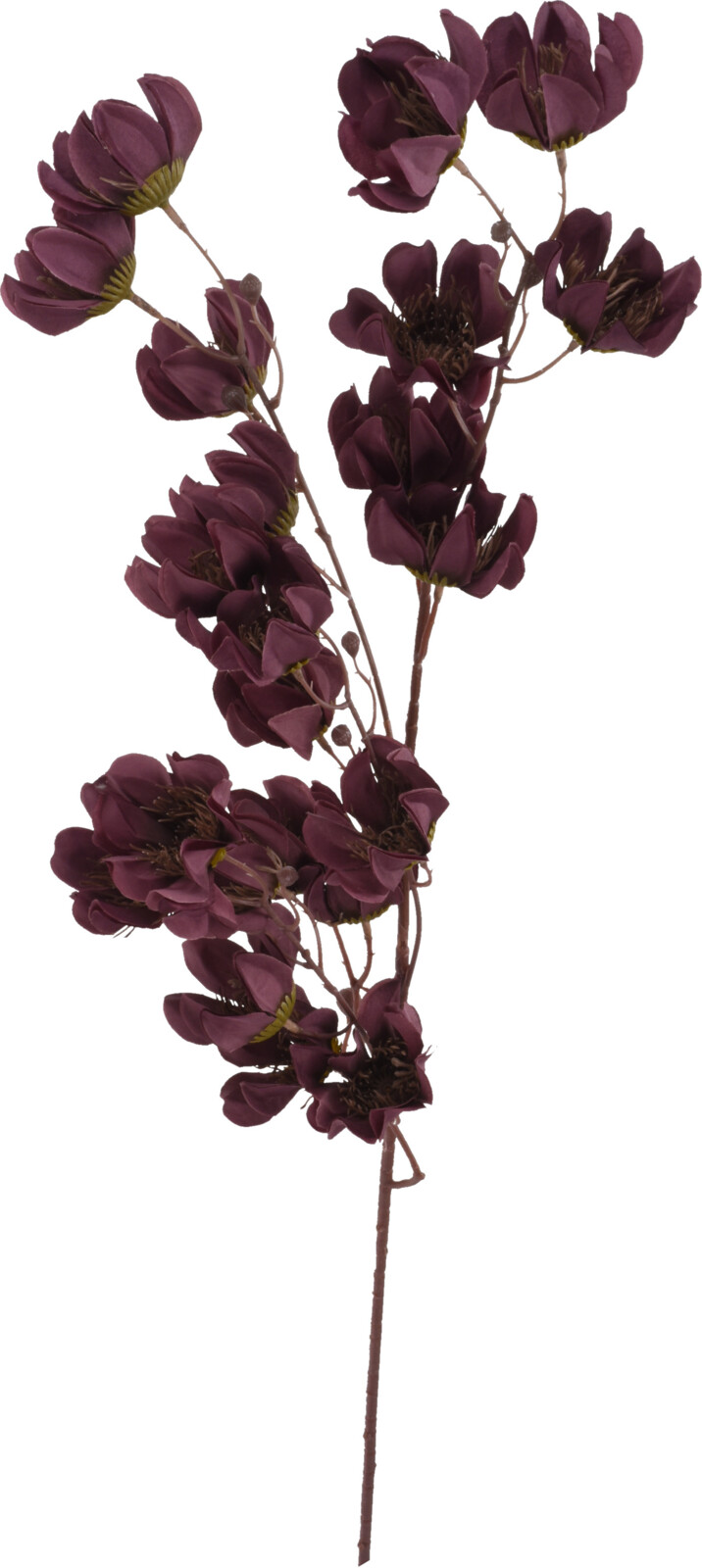 H&L Větvička Magnolie,97cm, bordo