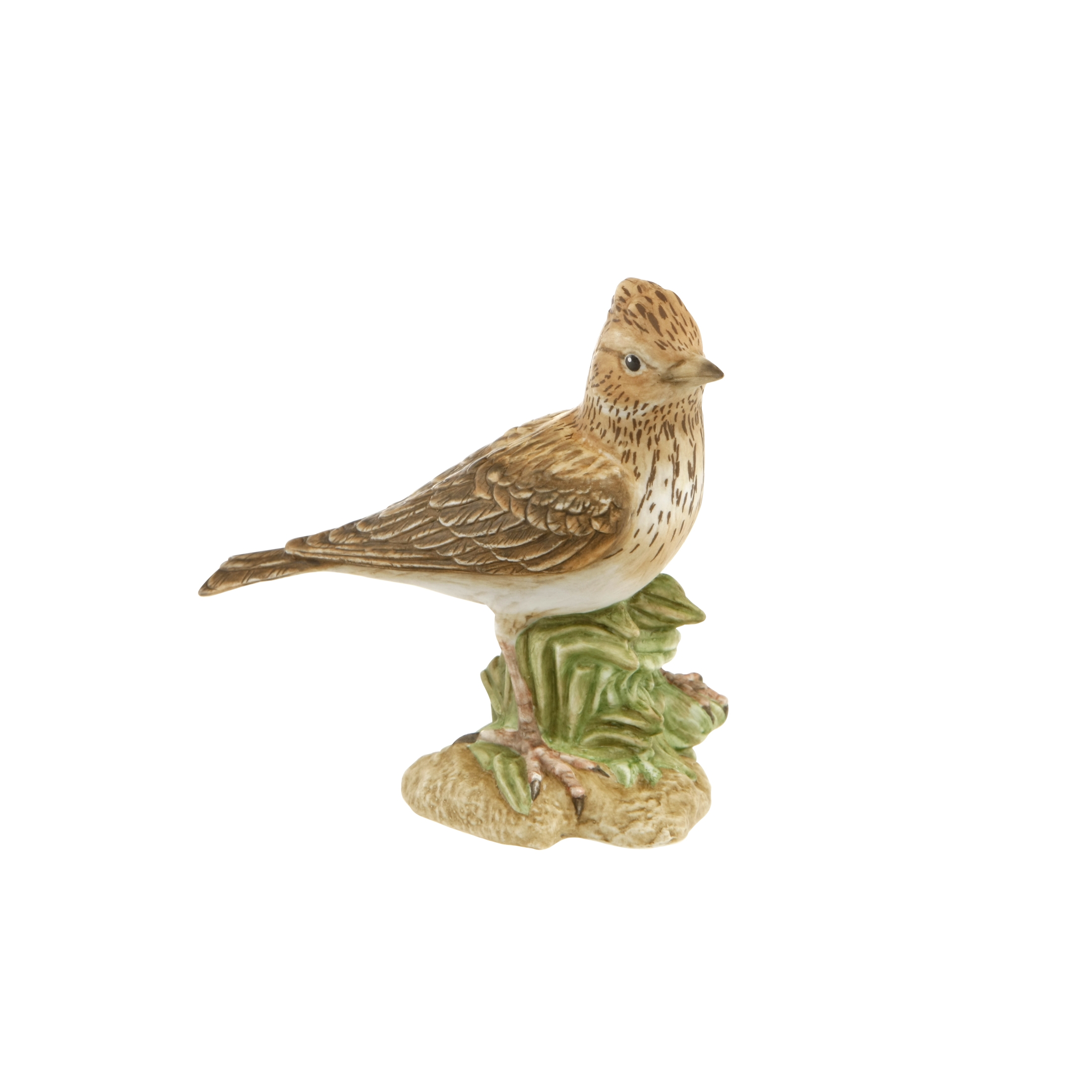 Goebel Pták roku 2019: Skřivan malý