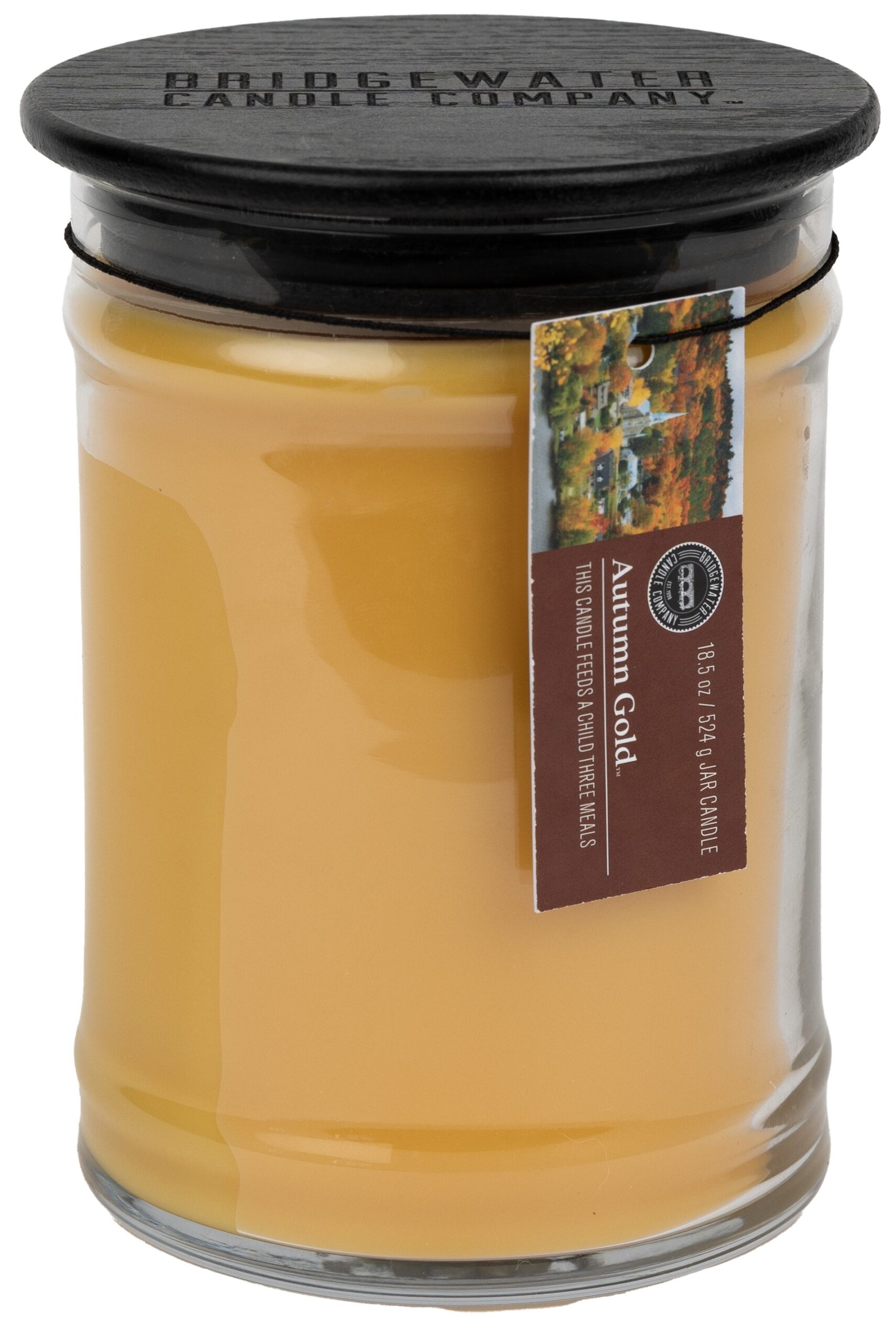 Bridgewater Candle Company Vonná svíčka Autumn Gold velká