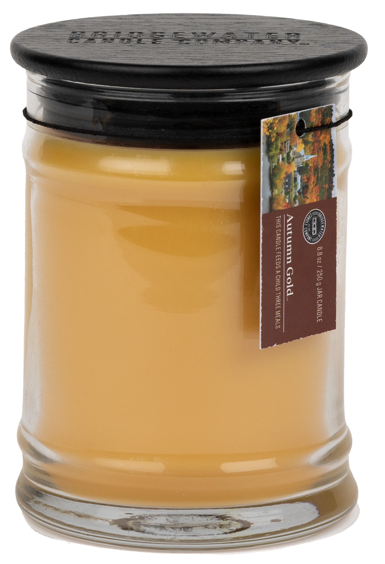 Bridgewater Candle Company Vonná svíčka Autumn Gold malá
