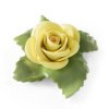 Aelteste Volkstedter Žlutá porcelánová růže