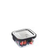 12755 gefu frischhaltedose milo 300ml quadratisch 01 1920x1920