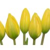 Svazek tulipánů. 10x10x40cm, žlutá, KSD