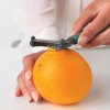 Food Y Peeler plus Zester, TASTY+ Fir Green 8710755122927 Brabantia 96dpi 1000x1000px 7 NR 15341