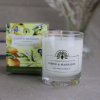 shop lemon and mandarin scented candle from our collection of candles by the english soap company 40191740477657