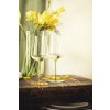 60725 13 eisch inspire sensisplus sada 2 sklenic na ovocna a aromaticka vina jantarova