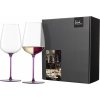 60728 6 eisch inspire sensisplus sada 2 sklenic na ovocna a aromaticka vina ruzova