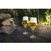 61466 10 eisch craft beer experts sklenice na pivo