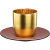 61901 7 eisch cosmo collect espresso salek zlato med