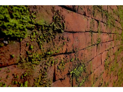 MASONRY MOSS (Povrchová úprava ROJO)