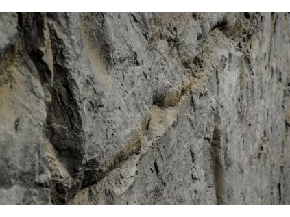 ROCA (Povrchová úprava CARMIN)