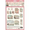 SBCARD41 2