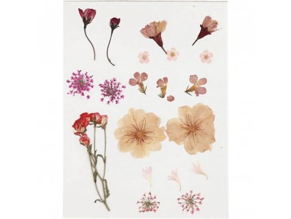 Lisované kvety, extra krehké, ružové