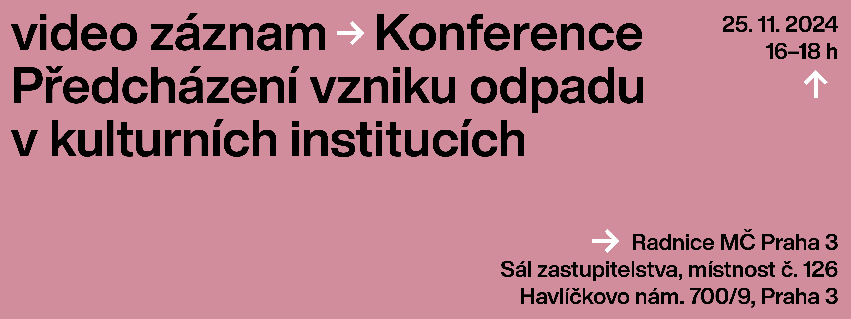 konference video P3