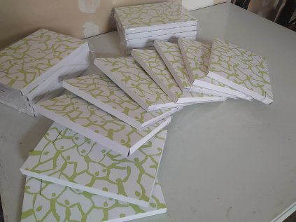 343120466 778334877183308 6290748059632384300 n