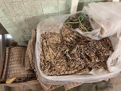 WhatsApp Image 2024 06 03 at 14.47.09