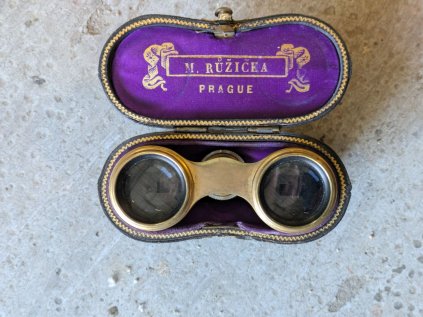 PXL 20260106 100143233