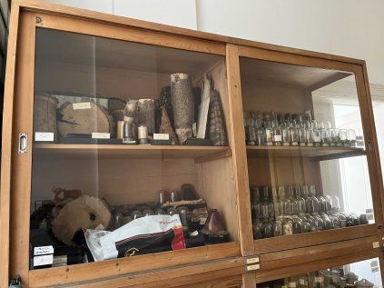 Vitríny botanika UK