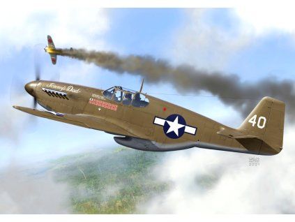 1/72 P-51B „Mustang Aces“