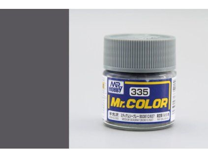 Mr. Color (10 ml) Medium Seagray BS381C 637