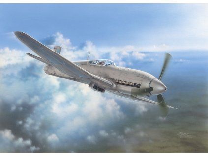 1/32 Heinkel He 100D Soviet and Japanes
