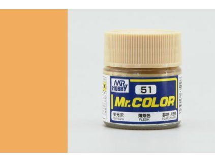 Mr. Color (10 ml) Flesh