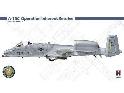 1/48 A-10C Operation Inherent Resolve