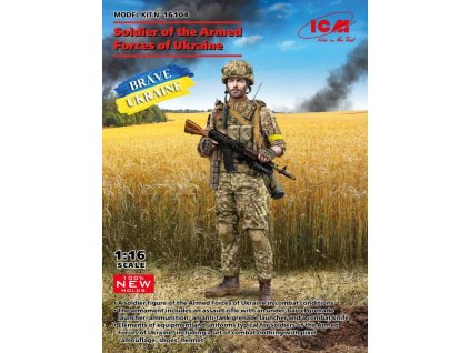 1/16 Soldier of the Armed Forces of Ukraine