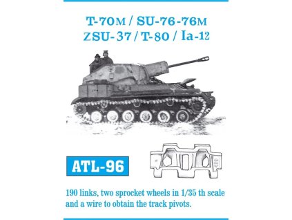 217 ATL096