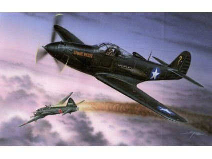 1/32 P-39Q Makin Airacobras HI-TECH