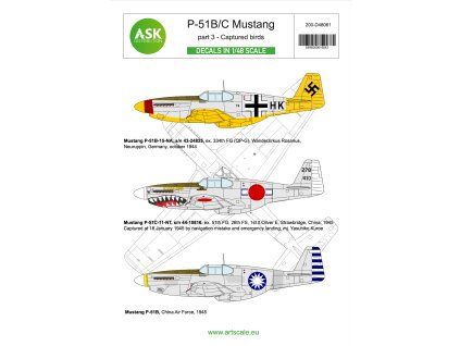 1/48 P-51B/C Mustang part 3 - Captured birds