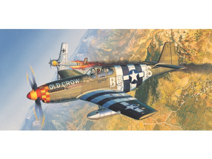 Academy 12464 - P-51B (1:72)