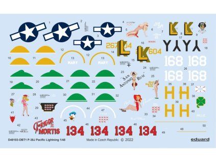 P-38J Pacific Lightning 1/48 recommended for TAMIYA
