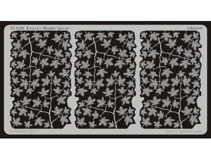 Leaves Maple / Javor