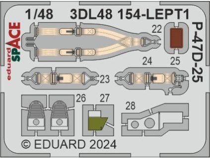 P-47D-25 SPACE 1/48 recommended for MINIART