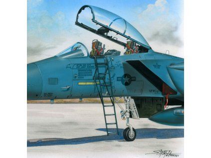 1/48 Ladder F-15