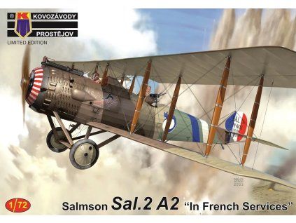 1/72 Salmson Sal.2A2 "In French Services"