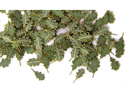 1/35 Green leaves – oak