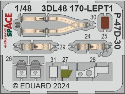 P-47D-30 SPACE 1/48 recommended for MINIART