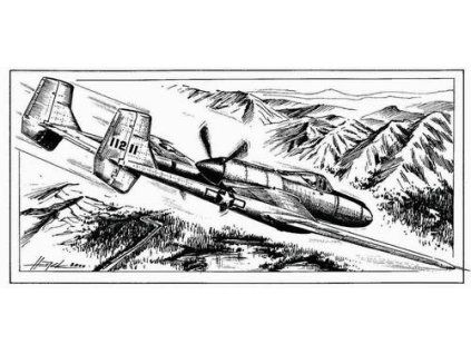 1/72 Vultee XP-54 SWOOSE GOOSE