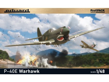 P-40E Warhawk 1/48 recommended for 82241